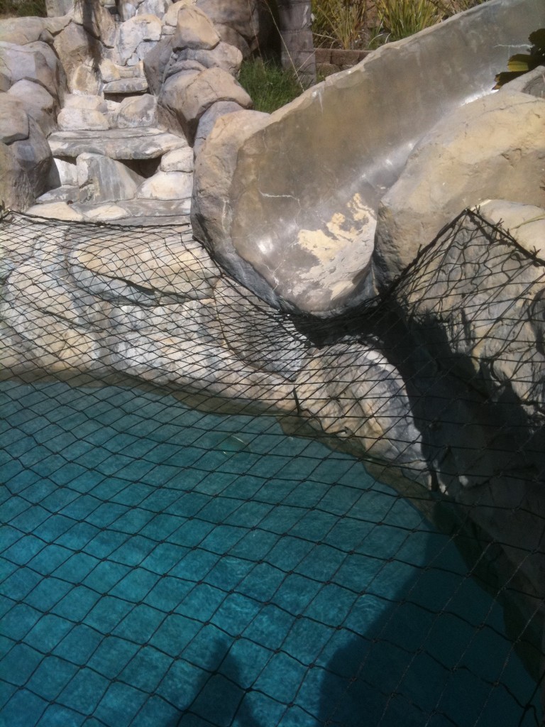 Black Pool net that is safely attached to slide